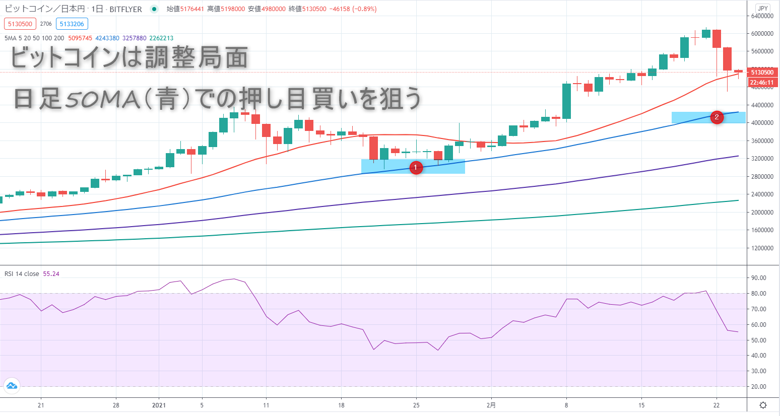 2021年2月24日時点のビットコインの日足チャート画像