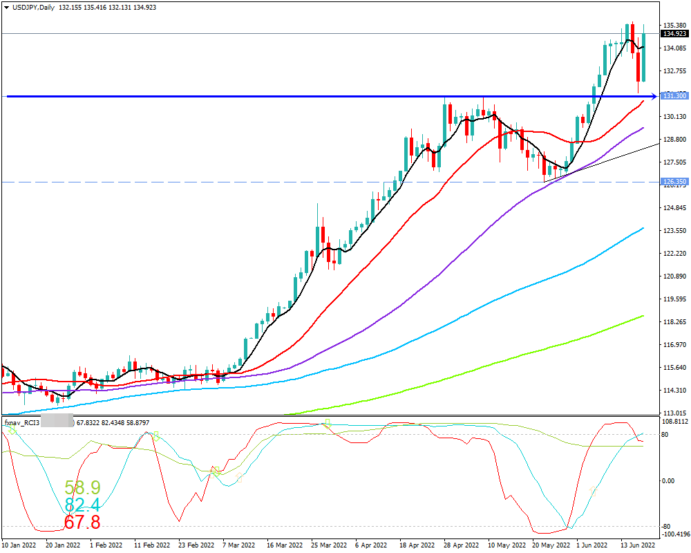 ドル円(USD/JPY)　日足チャート画像（2022/6/18時点）